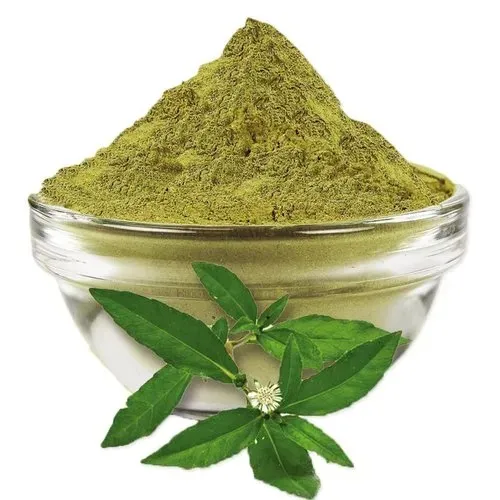 Bhringraj powder in glass bowl with fresh green leaves isolated on white background